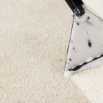 carpet cleaning Swindon by Oven and Carpet Bliss