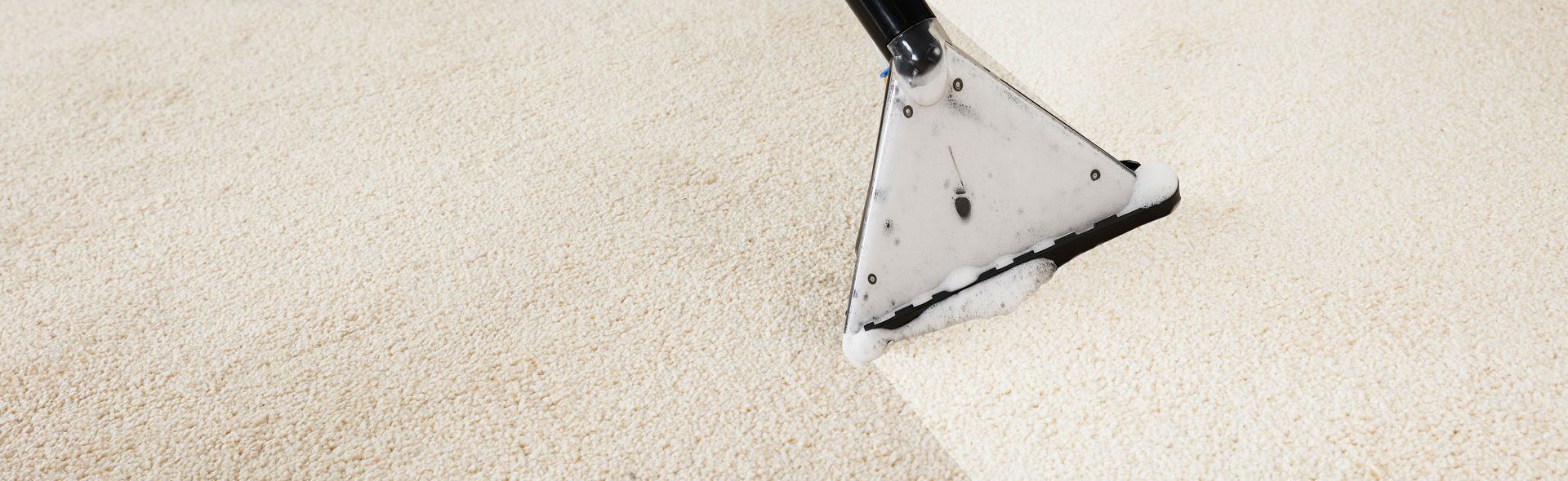 carpet cleaning Swindon by Oven and Carpet Bliss